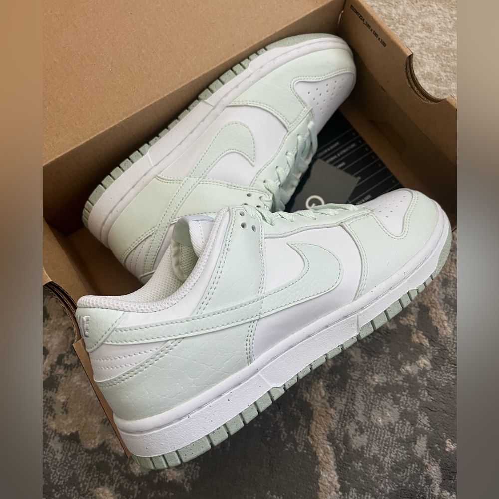 Brand new Nike Dunk